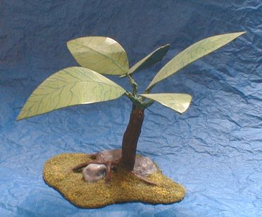 plante exotique